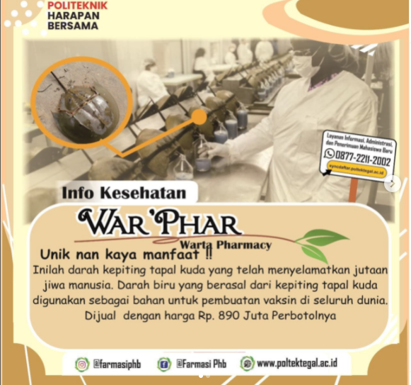 Unik Nan Kaya Manfaat Kepiting Tapal Kuda